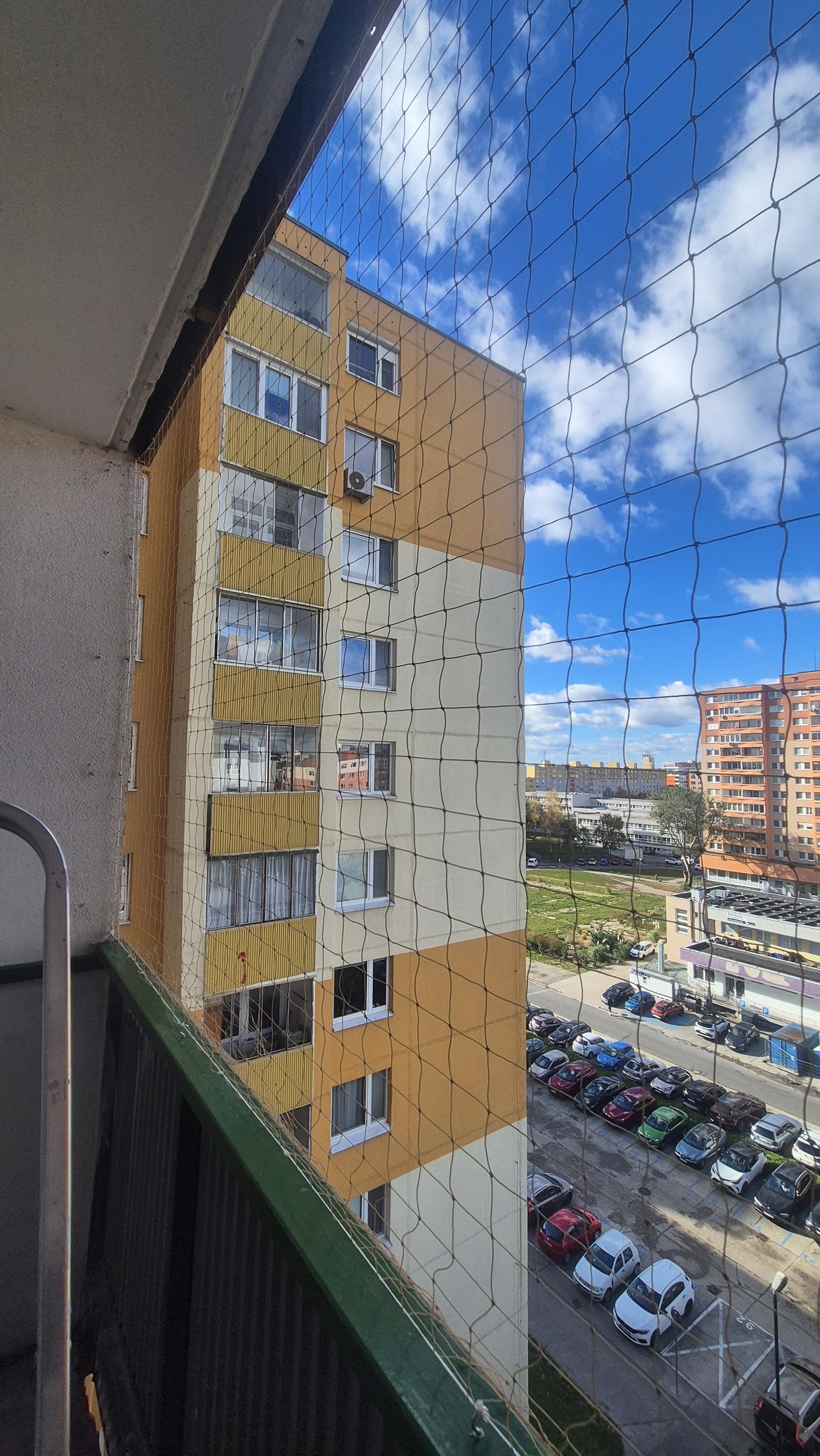 Pigeon netting installation